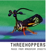 Front View : Threehoppers - THREEHOPPERS (2CD) - ZYX - Ayianapa / AYA 82917-2