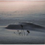 Front View : Saine - THERE WILL BE SIGNS - Special Species Records / SSR036