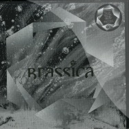 Front View : Brassica - TEMPLE FORTUNE EP - Civil Music / civ04212