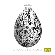 Front View : Snorri Hallgrimsson - THE IMPORTANCE OF BIRDS (LP) - Deutsche Grammophon / 4867362