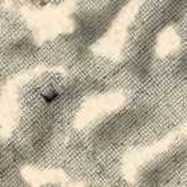 Front View : Hands Of Fate - HANDS OF FATE - Untag Records / UNTG001