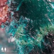 Front View : Tensal - HIGH OCTANE - Panic Sound Records / PSR002