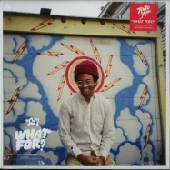 Front View : Toro Y Moi - WHAT FOR? (LP + MP3) - Carpark / CAK102 / 05109681