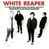 Front View : White Reaper - THE WORLD S BEST AMERICAN BAND (LP) (180GR.) - Polyvinyl Records / 4411003231