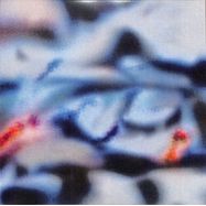 Front View : Shoal - TEMPORAL BLEND - Animalia / ANIMA16