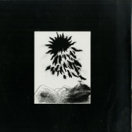 Front View : Coletivo Vandalismo - URUBUS FALL FROM THE DYING SUN IN AN IMPROVISED MANNER (140 GR) - Contort Yourself / CYN 001
