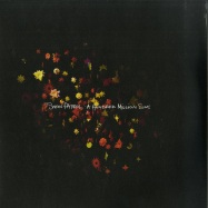 Front View : Snow Patrol - A HUNDRED MILLION SUNS (2LP) - Polydor / 6795428