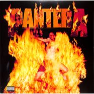 Front View : Pantera - REINVENTING THE STEEL (LP) (180GR.) - RHINO / 8122797432