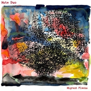 Front View : Mute Duo - MIGRANT FLOCKS (LP) - American Dreams Records / LPADR54