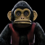 Front View : OST / Edo Van Breemen - THE MONKEY (LP) - ADA / 1015584094