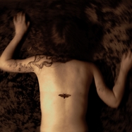 Front View : Svart Rida - APONIA (LP) - ARGLE BARGLE STUDIOS / LPARGL6