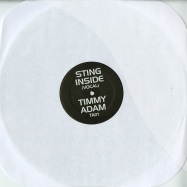 Front View : Sting - INSIDE (TIMMY REGISFORD & ADAM RIOS REMIX) - TA01t