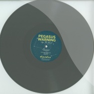 Front View : Pegasus Warning - TRY SO HARD (GREY COLOURED VINYL) - Deep & Disco / DDR005