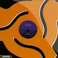 Front View : Missing Soul (Ron Trent) - BRAND NEW DAY - Future Vision / FVR028