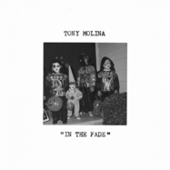Front View : Tony Molina - IN THE FADE (LP) - Run For Cover / 00153512