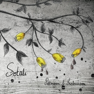 Front View : Pettersson & Fredriksson - SOTALI (LP) - Nordvis / LPNVP188