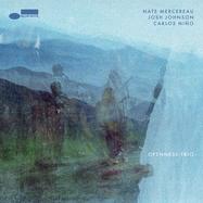 Front View : Mercereau, Nate /Johnson, Josh / Carlos Nino - OPENNESS TRIO (LP) (BLACK, 180G, SINGLE-SLEEVE) - Blue Note / 7582137