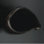 Front View : hoyah nn - CAN I GET A CHAYAH? (TAPE / CASSETTE) - BRUK / BRUKLP2