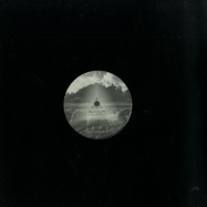 Front View : Jepe - SPRING SHADOW EP (DAVID DURIEZ REMIX) - Blossom Kollektiv / BLK015