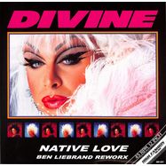 Front View : Divine - NATIVE LOVE (BEN LIEBRAND REWORX) - High Fashion Music / MS 521