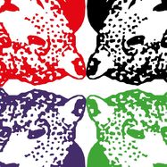 Front View : Tiger & Woods - THROUGH THE GREEN (2LP) - Running Back / RBLP02