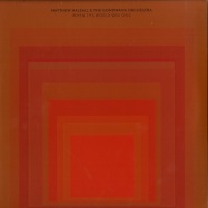 Front View : Matthew Halsall & The Gondwana Orchestra - WHEN THE WORLD WAS ONE (2X12 LP) - Gondwana / gondlp010