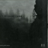 Front View : Various Artists - DET AR GRYMT I NORR (LP) - Electronic Emergencies / EE024rtm