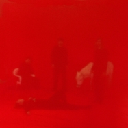 Front View : Panda Lux - HERZ (LP) - Mouthwatering Records / 28268