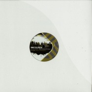 Front View : Various Artists - REMIXES - Skyline Type Grooves / STG005