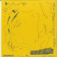Front View : Jeremiah R - COSMIC CYCLES (REPRESS) - BAKK / BAKK009