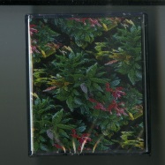 Front View : Various Artists - WALLED GARDEN VOL. 2 (TAPE / CASSETTE) - Botanic / BOT006