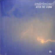Front View : Tenderlonious - AFTER THE STORM EP - 22a / 22A033 / 05196606