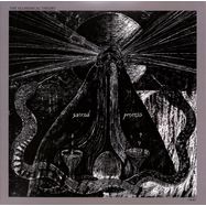 Front View : The Alchemical Theory - SACRED PROCESS - Come In Records / CIR003