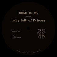 Front View : Niki IL B - LABYRINTH OF ECHOES - Sakskobing / SKKB026