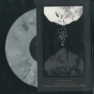 Front View : Flaminia - ILLUSION IN FIRE (COLOURED VINYL) - Metempsychosis Records / MPSYVYN002