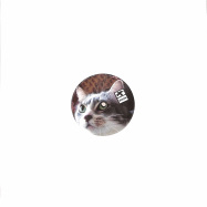 Front View : A.Garcia - THE ALPHA CAT EP - Docile / DOC030 / Docile030
