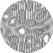 Front View : 543ff, Lenson, Firn, Delta Funktionen - LRCLTD001 - Lazy Reflex Complex / LRCLTD001