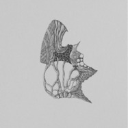 Front View : Andrei Morant - GRAIN DAMAGE EP (INCL TIM XAVIER REMIX) - Antimodus / AM015