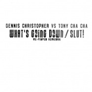 Front View : Dennis Christopher vs Tony Cha Cha - WHATS GOING DOWN / SLUT RMXS - White WL035