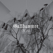 Front View : Gallhammer - THE END (BLACK VINYL) (LP) - Peaceville / 2983161PEV