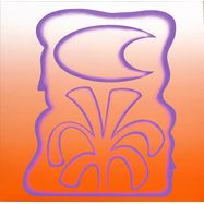 Front View : Sebastian Mullaert & Layla Rehena - SOLAR PAINT, AND THE MELODIES IN BETWEEN (LP) - Bigamo / Bigamo19