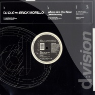 Front View : DJ DLG vs. Erick Morillo - WHERE ARE YOU NOW 2009 - D:Vision / dv584