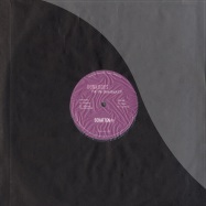 Front View : Donk Boys - PUT THE STEW BACK EP - Schatten Records / stt002