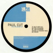 Front View : Paul Cut - THE SHADOW EP (HUGO LX MIX) (180 G VINYL) - Silver Network / Silver 046