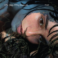 Front View : Fille - ONLY SKIES STAY ETERNAL (LP) - Distant Gaze / DSG005