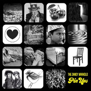 Front View : Dandy Warhols - PIN UPS (2LP) - THE DANDY WARHOLS / DANDY1