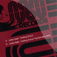 Front View : Jokke Ilsoe - FEELING GOOD - Namnam Records / Namep001