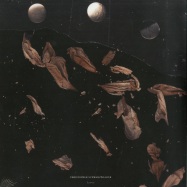 Front View : Christopher Schwarzwalder - LEAVES - Denature Records / DR004