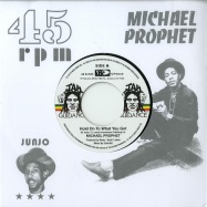 Front View : Michael Prophes / Roots Radics - HOLD ON TO WHAT YOU GOT / CRY OF THE WEREWOLF (7 INCH) - VP Music / VP9630