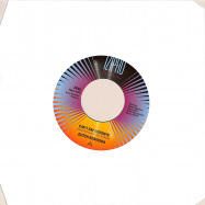 Front View : Dutch Robinson - CANT SAY GOODBYE (7 INCH) - Izipho Soul  / ZP36